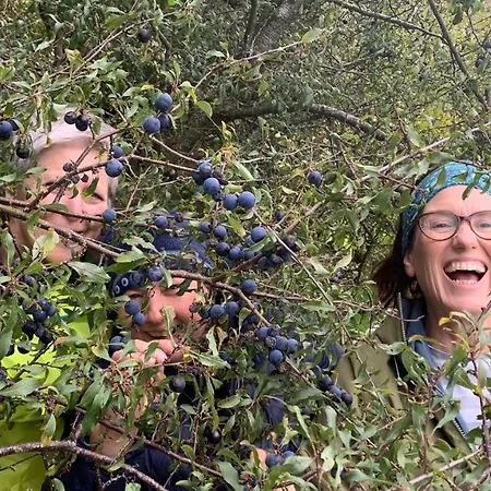 The Old Cowshed Roundwood