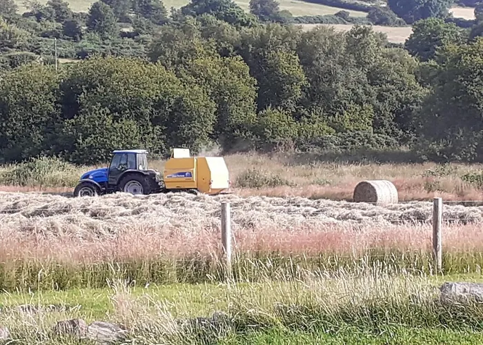 The Old Cowshed Holiday home Roundwood