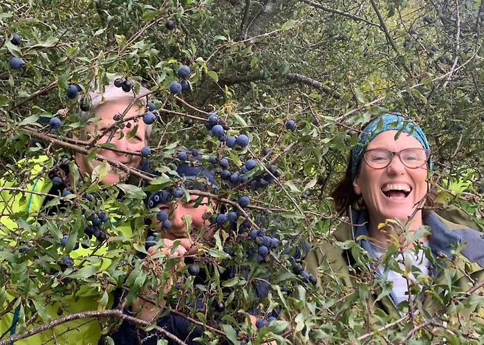 The Old Cowshed Roundwood